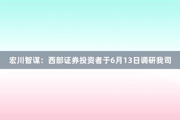 宏川智谋：西部证券投资者于6月13日调研我司