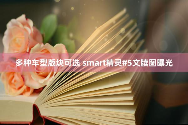 多种车型版块可选 smart精灵#5文牍图曝光