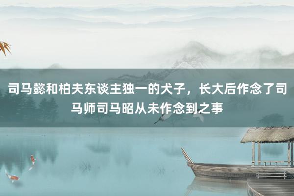 司马懿和柏夫东谈主独一的犬子，长大后作念了司马师司马昭从未作念到之事