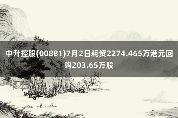 中升控股(00881)7月2日耗资2274.465万港元回购203.65万股