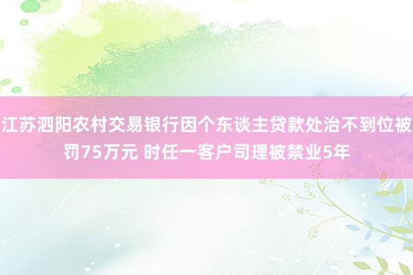 江苏泗阳农村交易银行因个东谈主贷款处治不到位被罚75万元 时任一客户司理被禁业5年