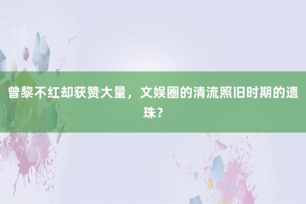 曾黎不红却获赞大量，文娱圈的清流照旧时期的遗珠？