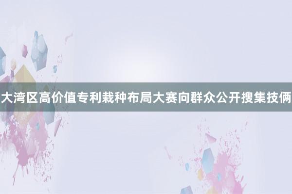 大湾区高价值专利栽种布局大赛向群众公开搜集技俩