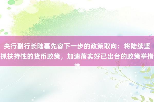 央行副行长陆磊先容下一步的政策取向：将陆续坚抓扶持性的货币政策，加速落实好已出台的政策举措