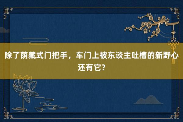 除了荫藏式门把手，车门上被东谈主吐槽的新野心还有它？