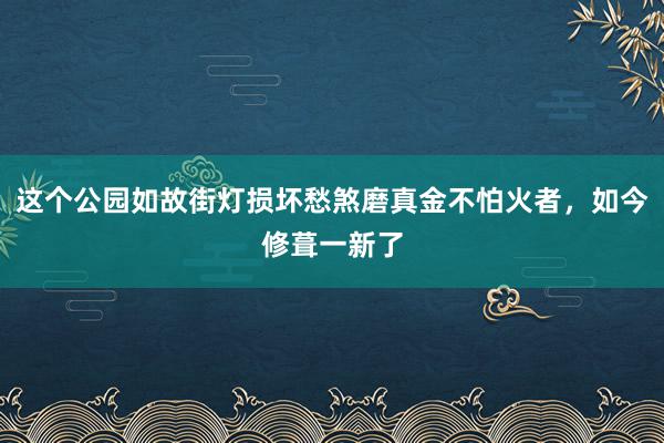 这个公园如故街灯损坏愁煞磨真金不怕火者，如今修葺一新了